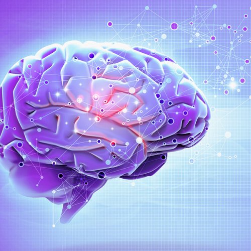 como aprende el cerebro según la neuroeducación