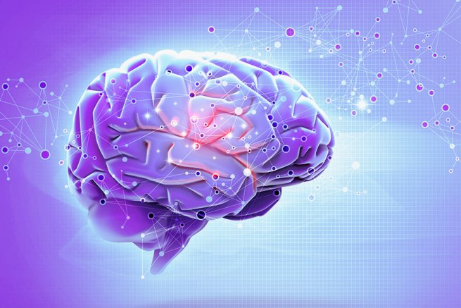 como aprende el cerebro según la neuroeducación