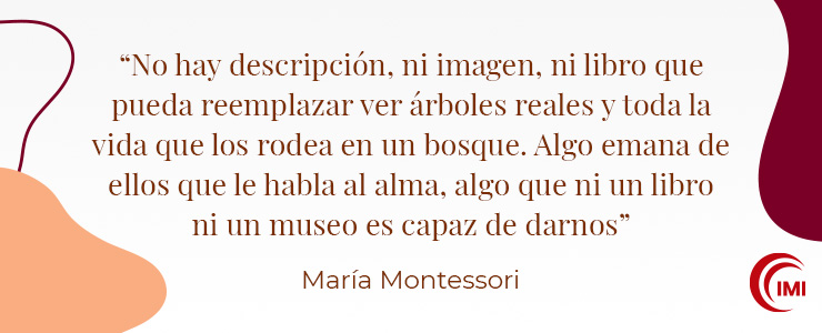 ✨30 Inspiradoras Frases de Maria Montessori | IMI