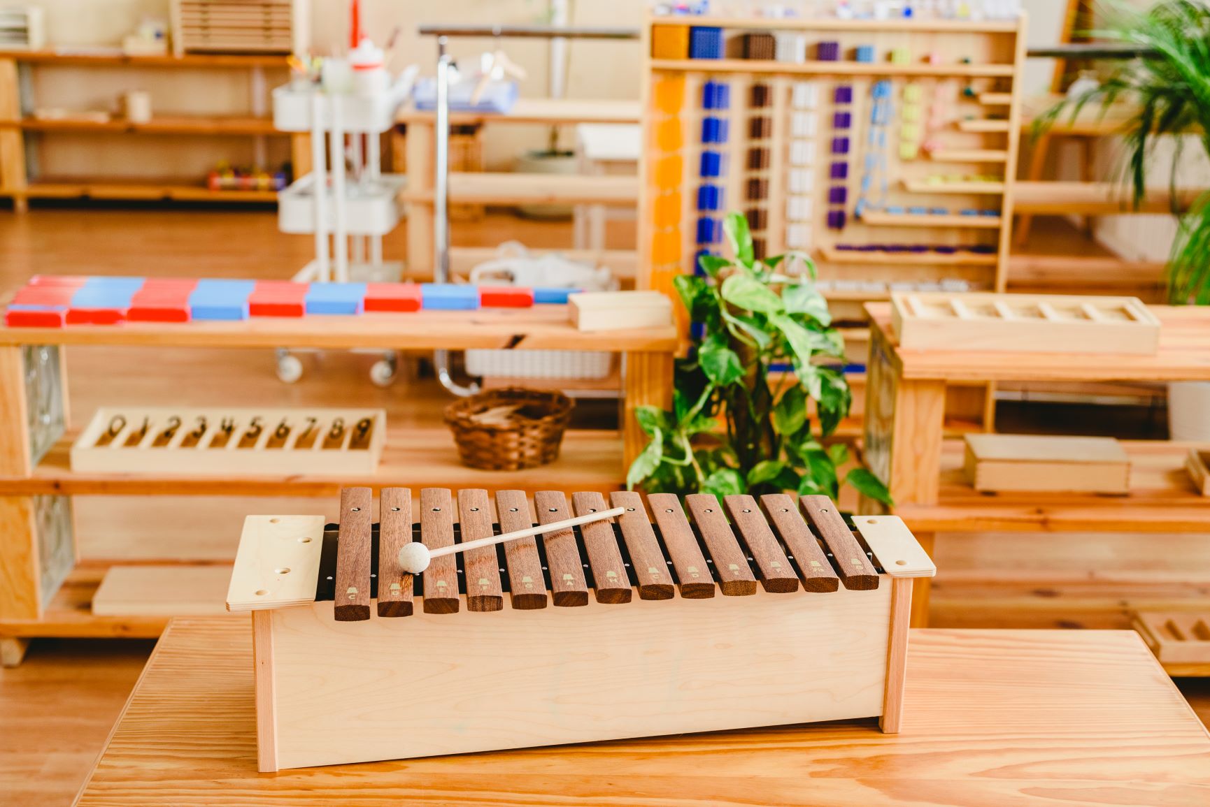 ambiente preparado Montessori y la educación musical
