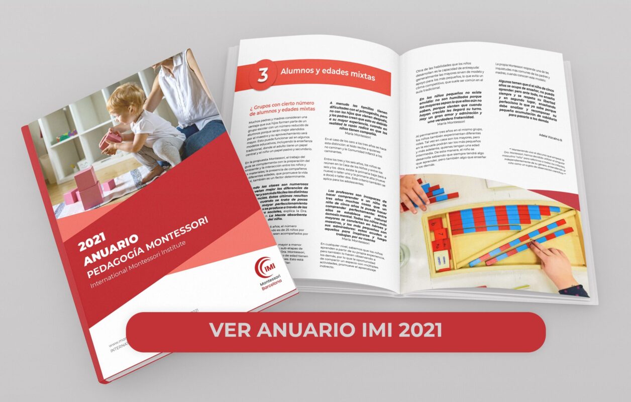 anuario imi min scaled