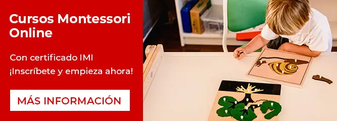 Cursos Montessori IMI
