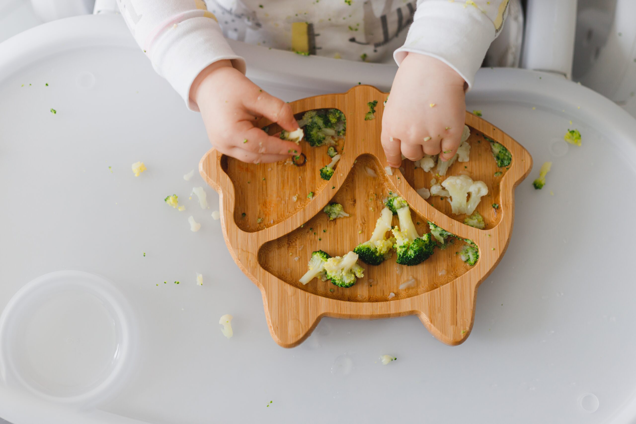 la alimentacion autonoma en la infancia