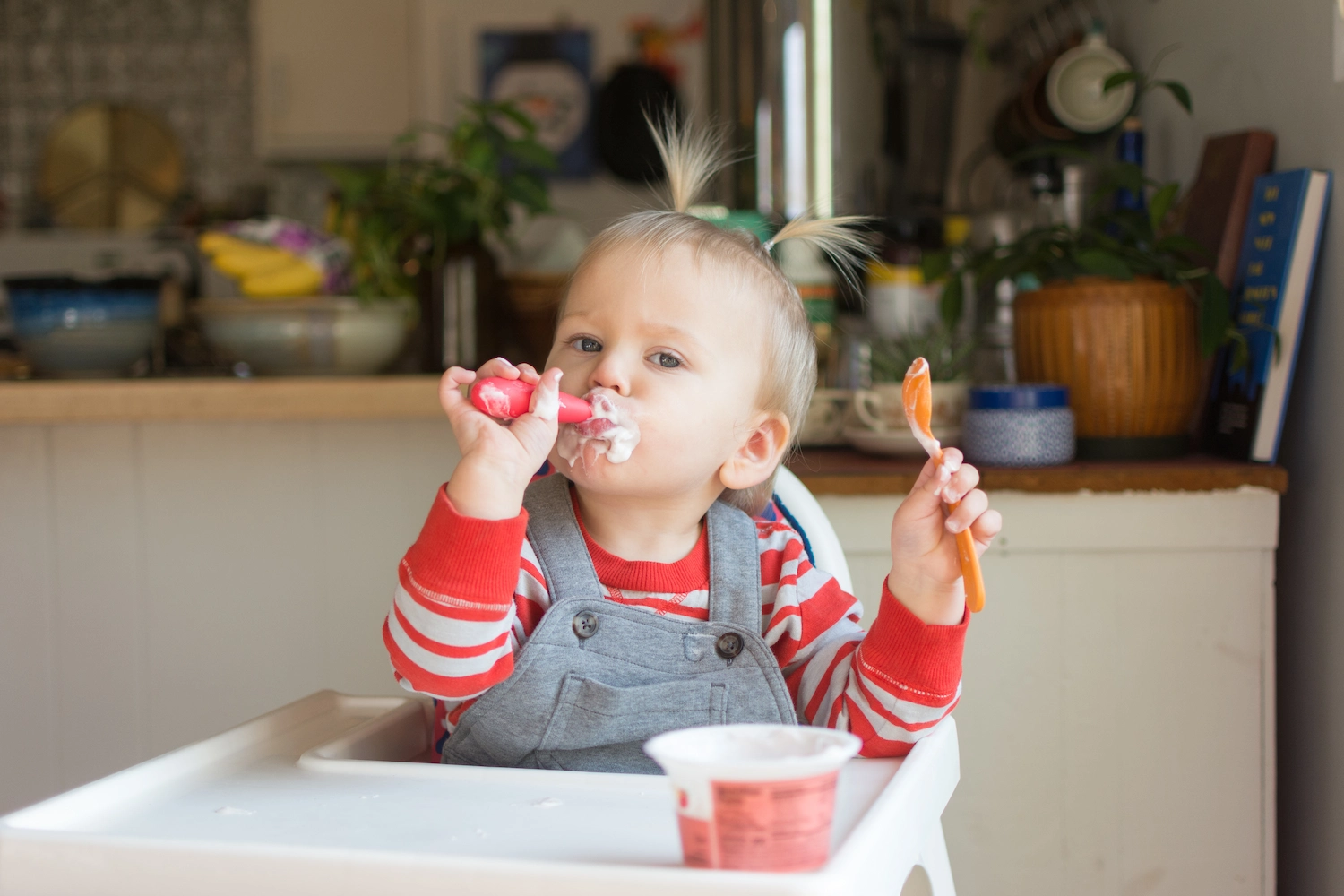 alimentación a los 18 meses