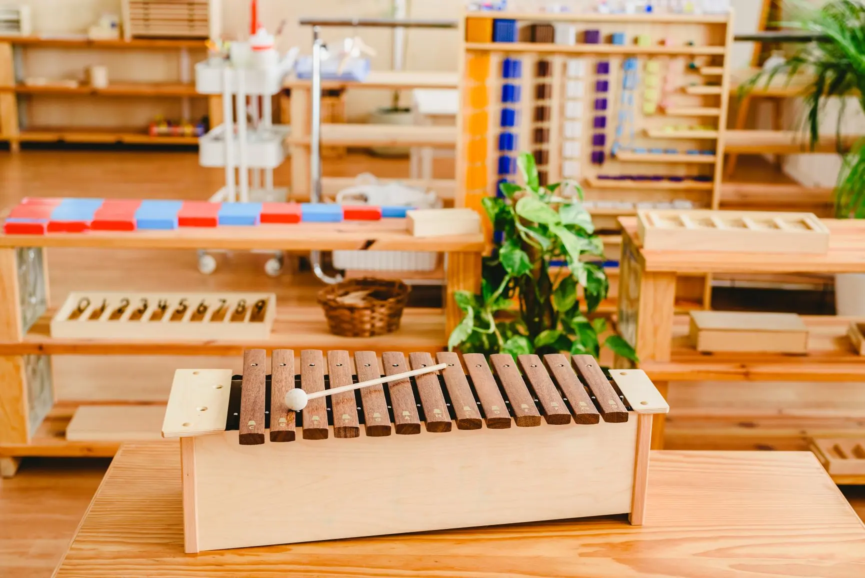 ambiente preparado Montessori y la educación musical