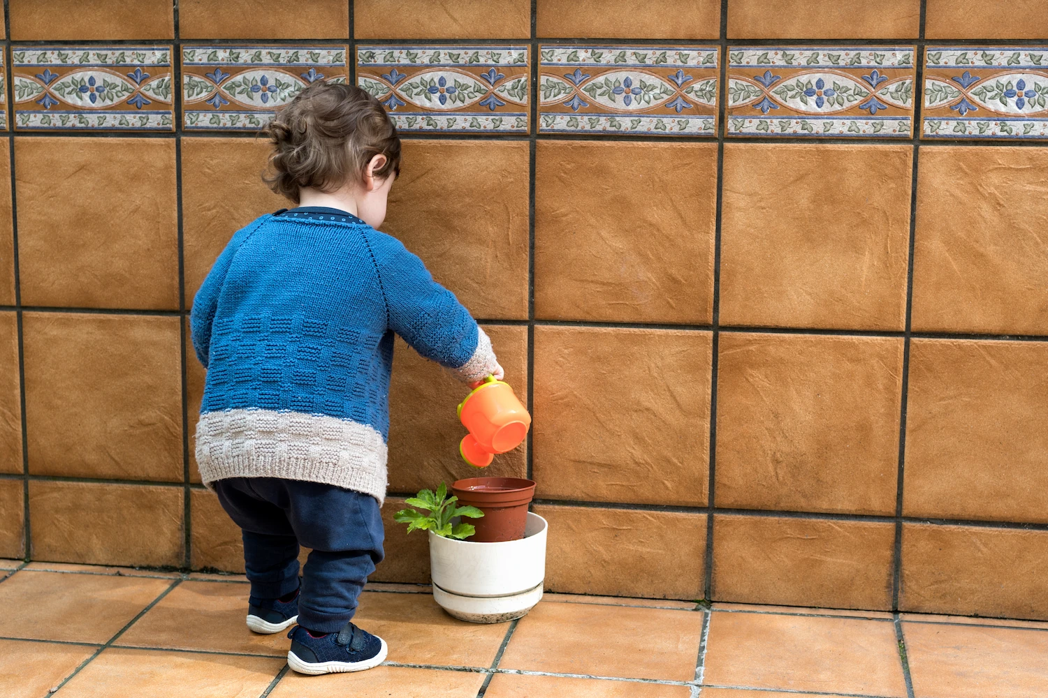 autonomía a partir del año