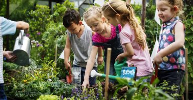 huerto infantil