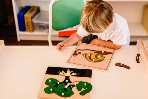 child-s-hands-learning-biology-with-montessori-mat-2022-05-23-23-10-54-utc-scaled-e1699890702414