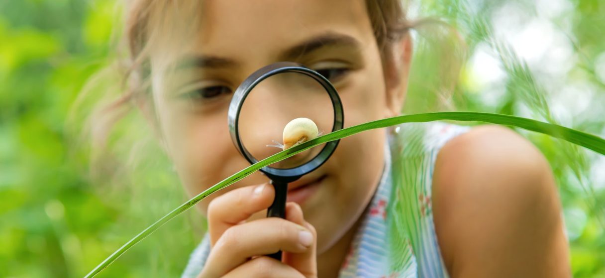 niña observando a un caracol en educación cósmica