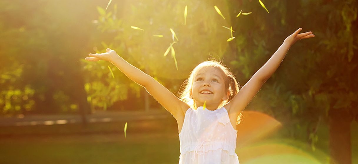 seminario-veracruz-web