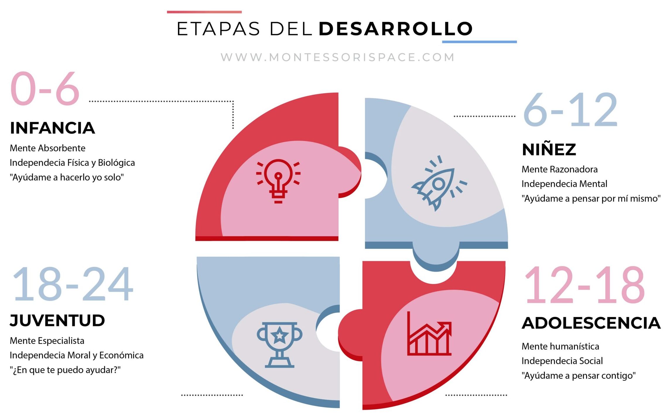 infografía montessorispace cuatro etapas del desarrollo