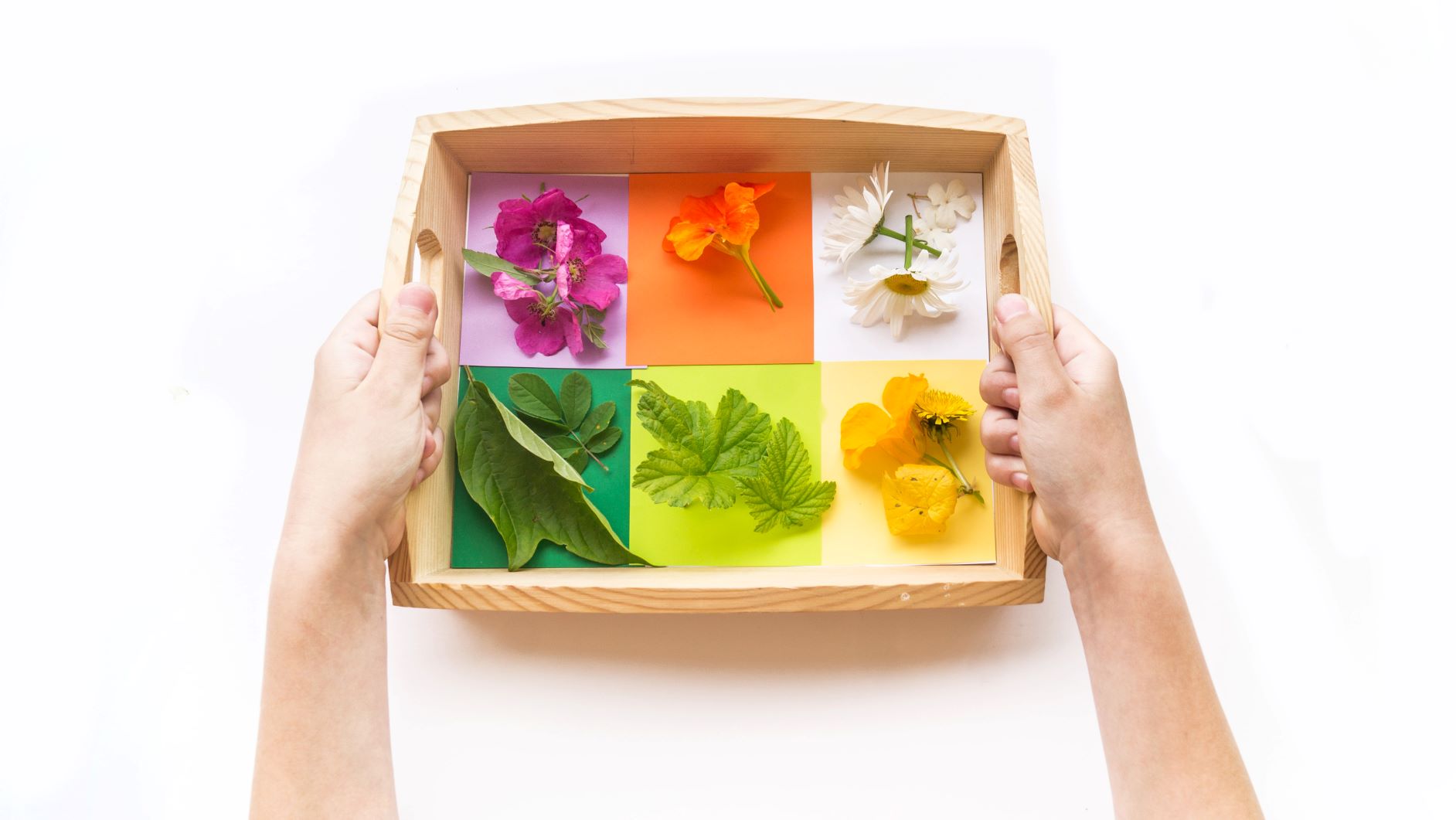 Preparación de bandeja para la lección