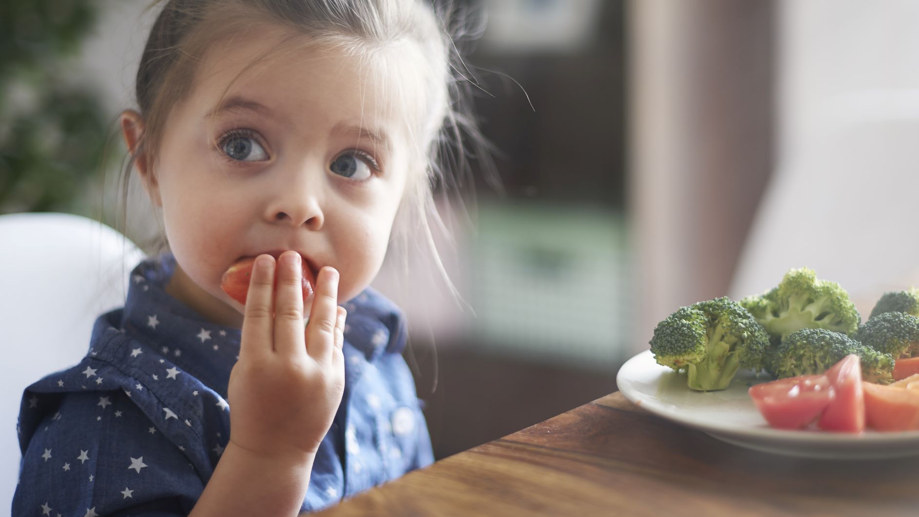 Alimentos influye como aprendemos y memorizamos