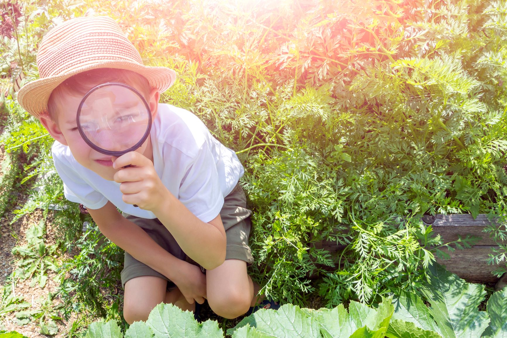 niño imaginativo explorando la naturaleza con una lupa